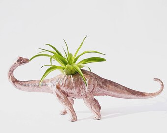 Dino Planter Rose Chrome Mini Planter