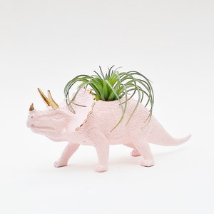 Pink Dinosaur Planter, Air Plant Holder image 2