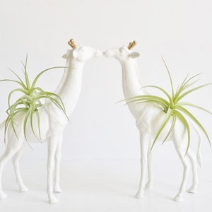 Giraffe Planters White + Gold, Animal Planters