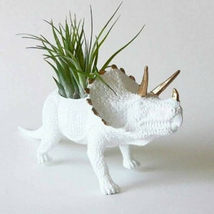 Dino Planter Birthday Gift