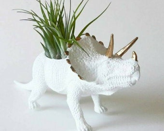 Dino Planter Birthday Gift