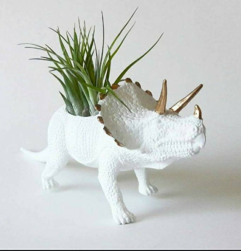 Dino Planter Birthday Gift image 1