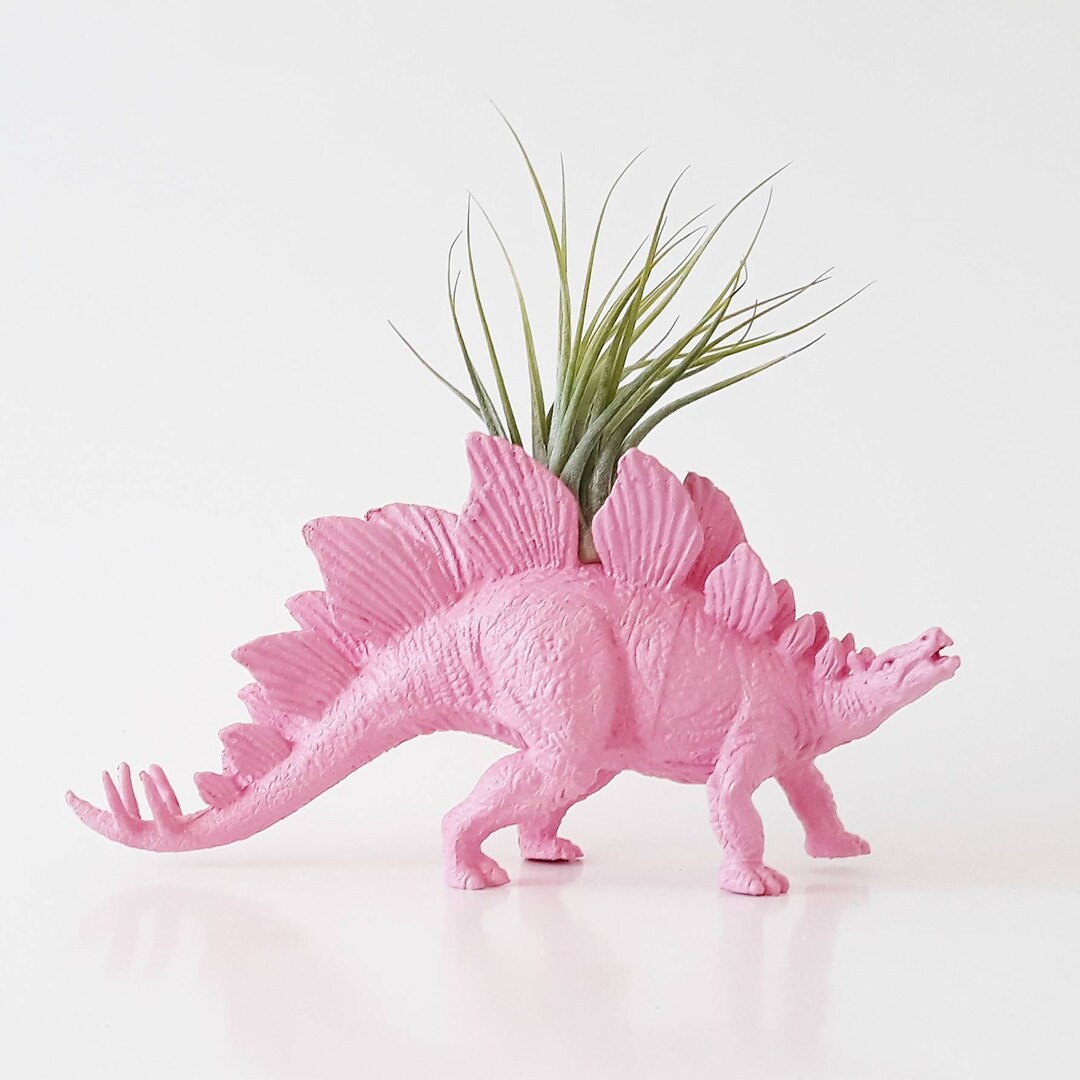 Dinosaur Planters Pink Dino Planter Unique Planters Etsy