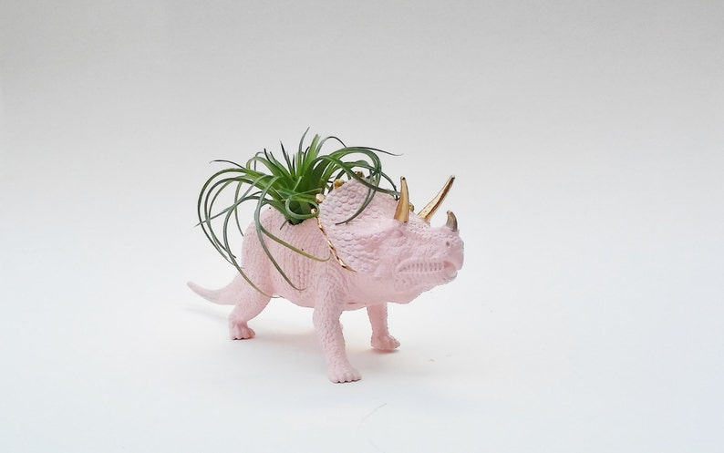 Pink Dinosaur Planter, Air Plant Holder image 1