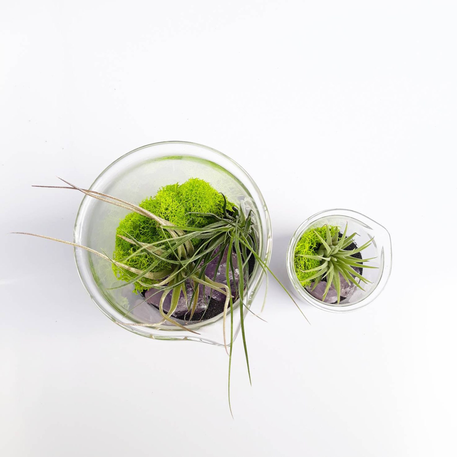 Science Inspired Gifts Air Plant Terrarium Beaker Set Etsy