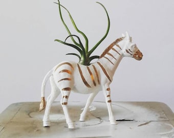 Safari Planter // Zebra Air Plant Holder