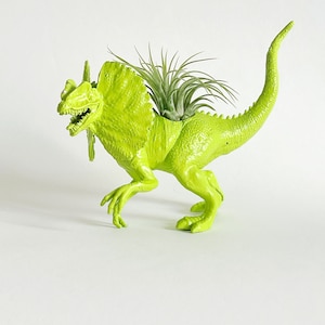 Dinosaur Planter in Lime Green
