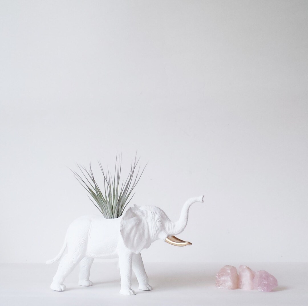 Elephant Planter in White Gold Air Plant // Unique Air Plant Etsy