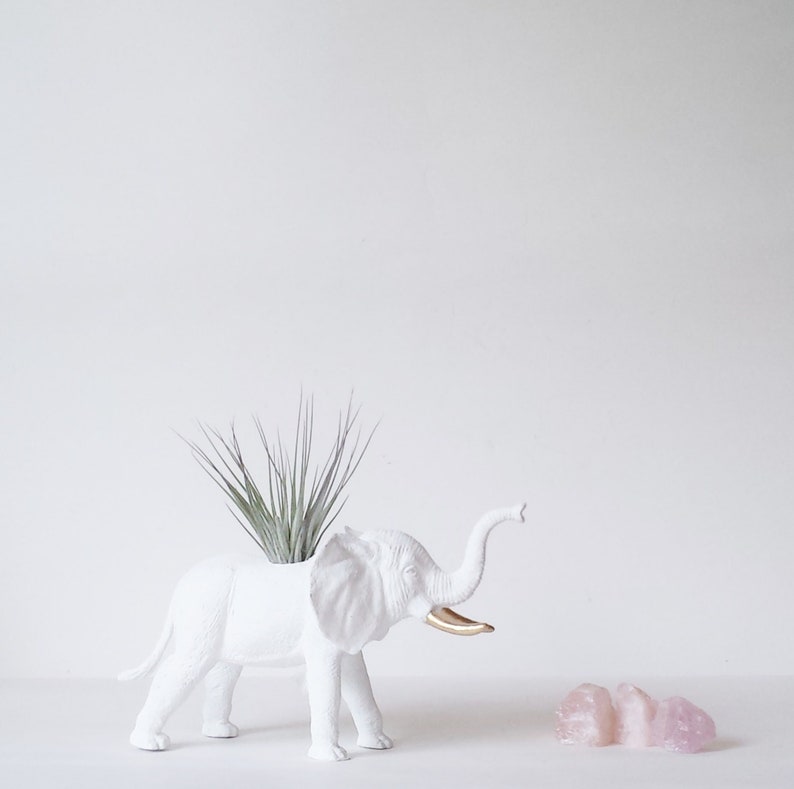 Elephant Planter in White Gold Air Plant // Unique Air Plant image 1