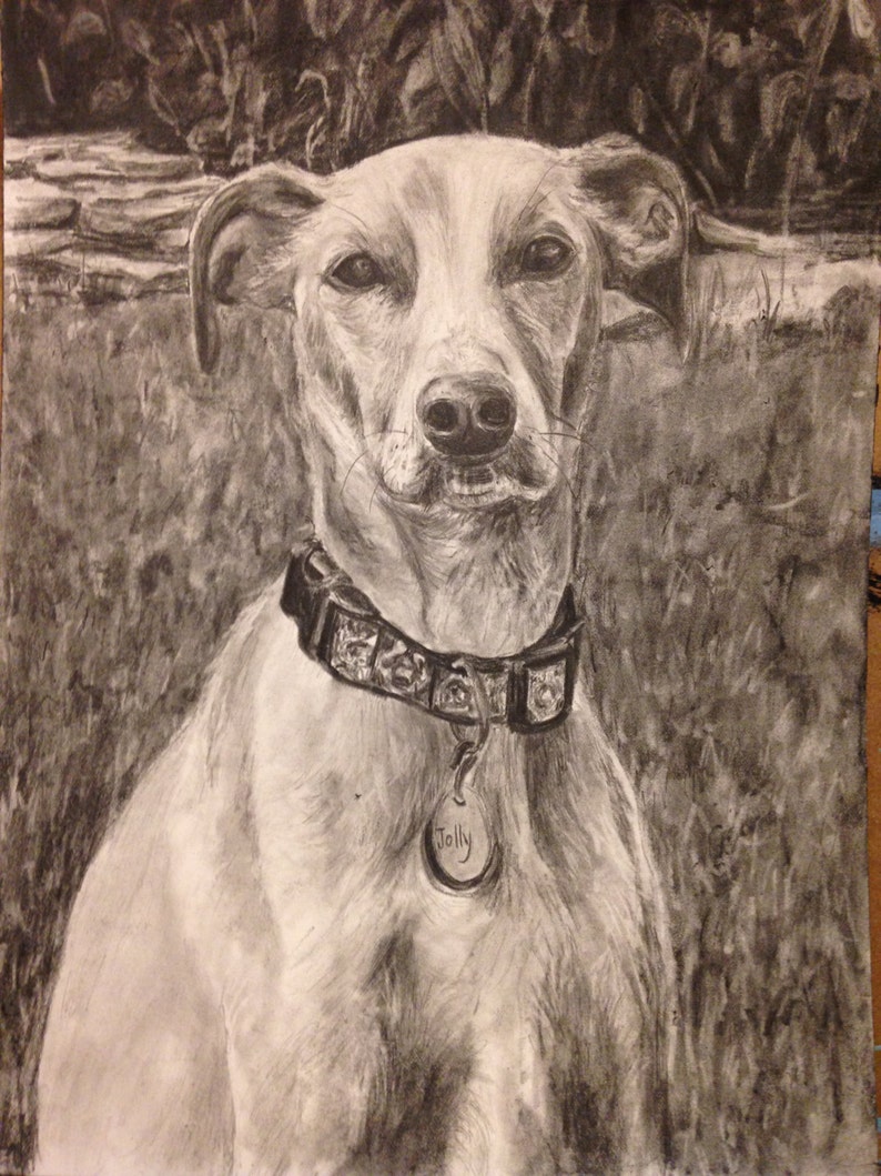 Pet portrait from photo pencil or paint of pets or people