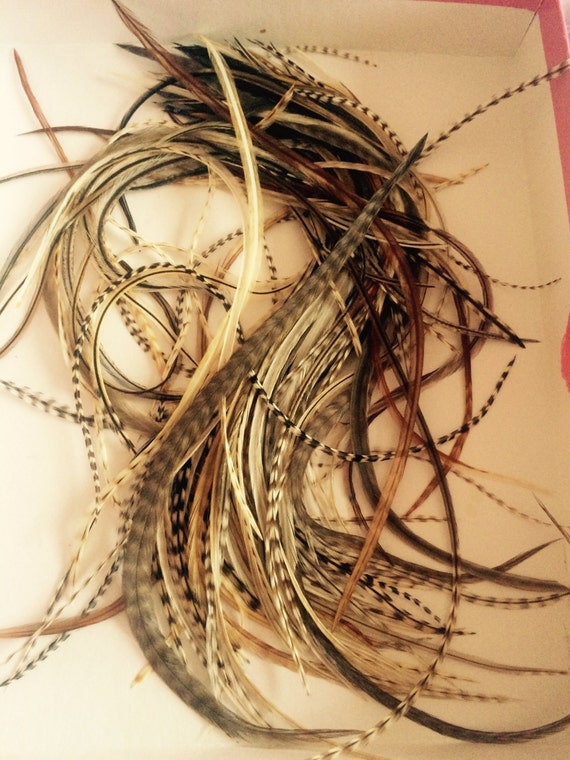 Long Feathers 8 10 Inches Real Natural Feather Hair Etsy