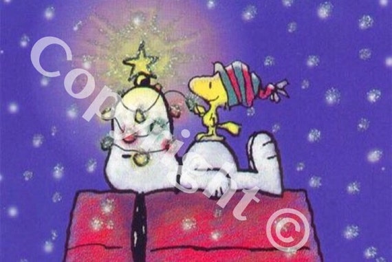 Charlie brown Peanuts Snoopy Christmas