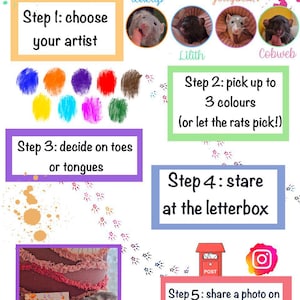 May include: An informational graphic titled Custom Rat Painting with five steps. It features photos of four rats named Teacup, Jellybean, Lilith, and Cobweb, colour swatches, paw print graphics, and instructions for ordering custom art created by rats.