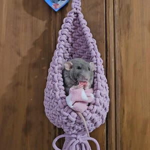 May include: A lavender crochet pet hammock with a grey rat inside, holding a pink toy. The hammock hangs from a wooden door, with a blue heart-shaped ornament featuring a rat illustration.
