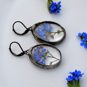 romantic FORGET ME NOT terrarium earrings, rustic, delicate elagant, old silver earrings, dangle earrings, dried flowers