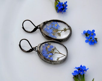 romantic FORGET ME NOT terrarium earrings, rustic, delicate elagant, old silver earrings, dangle earrings, dried flowers