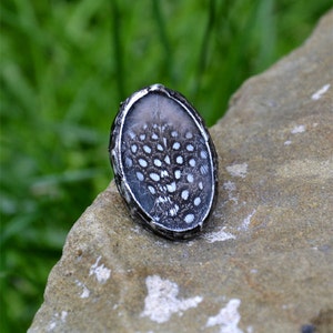 May include: A silver ring featuring a black and white bird feather design encased in resin.