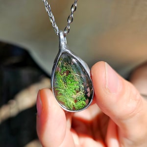 May include: A silver pendant necklace with a teardrop-shaped pendant. The pendant contains green moss set in clear resin, surrounded by a silver frame. The design is natural and organic, with the light enhancing the details.