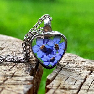 Könnte beinhalten: Eine silberne herzförmige Halskette mit einem klaren Harzeinsatz, in dem gepresste blaue Vergissmeinnicht-Blumen enthalten sind.