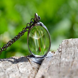 real dandelion seed terrarium tiny statement pendant necklace inspired by nature rustic fall necklace pendant memory jewelry rustic woodland