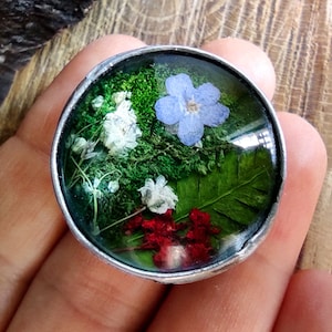 Bague de terrarium FORÊT, bijoux de vraies plantes, mousse, fougère, myosotis, bague de fleurs sauvages, bijoux floraux, fleur pressée, prairie, vieil argent