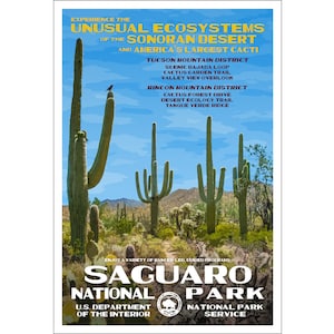 Saguaro National Park WPA style Poster | 13x19" | Sonoran Desert Poster | Arizona Cactus Art | Cactus Art | Saguaro Cactus | FREE SHIPPING!