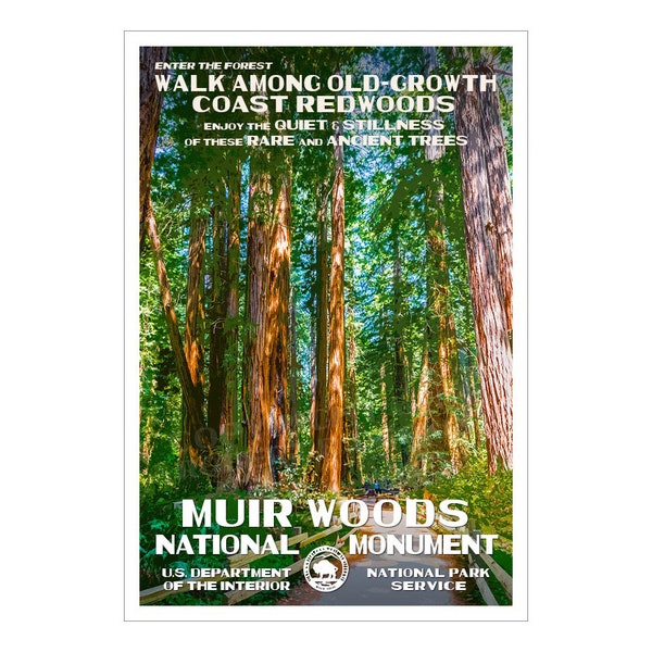 Muir Woods National Monument Poster WPA Style | 13" x 19" | Rustic Eco-friendly Décor | Environmental Conservation Poster | FREE SHIPPING!