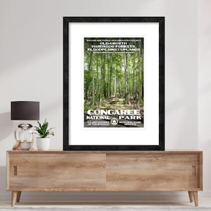 Original Congaree National Park Poster, Vintage WPA-Inspired Artwork, South Carolina Art Print, Eco-friendly Poster, Botanical Art Print