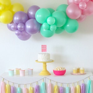 Easter Spring Balloon Garland Kit, Easter Party Decoration, Pastel Balloon Garland, Easter Birthday, Easter Bridal Shower, Baby Shower