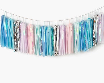 ASSEMBLED Winter Wonderland Tassel Garland, Iridescent Tassel Garland, Frozen Inspired Party, Baby It's Too Cold Outside, Winter Onederland