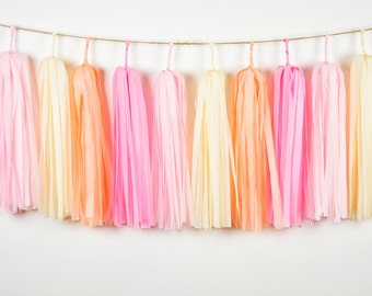 ASSEMBLED Pink Peach Tassel Garland, Ice Cream Party, Coral Peach Party Decor, Bridal Shower. Baby Girl Birthday, Sundae Funday Party