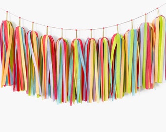 Guirnalda de borlas Rainbow Mingle de lujo - Banderines para fiesta de cumpleaños para niños - Fiesta del Orgullo LGBTQ - Boda gay - Decoraciones de cuna para guardería en sala de juegos