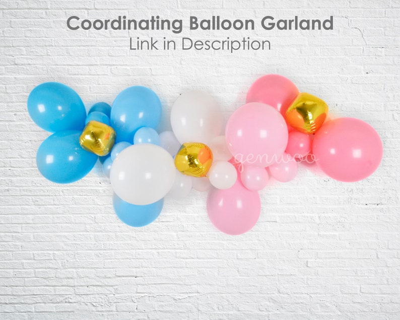 Gender Reveal Balloon Gender Reveal Ideas Gender Reveal Decor Gender Reveal Banner Baby Gender Announcement Balloon Tassels image 5