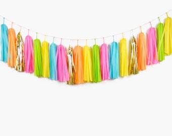 ASSEMBLED Fiesta Tassel Garland, Llama Party, Flamingo Party, Taco Party, Fiesta Birthday, Aloha Party Decor, Fiesta Wedding, Fiesta Bunting