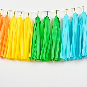 Puede incluir: Una guirnalda de borlas de papel de seda arco&iacute;ris con borlas rojas, naranjas, amarillas, verdes, azules y turquesas.