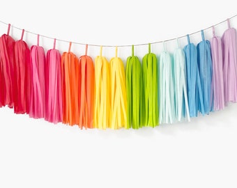 Crayon Rainbow Tassel Garland ASSEMBLED, Rainbow Baby Shower, Rainbow Cake Smash, Rainbow Party Banner, 1st Birthday, Rainbow Backdrop