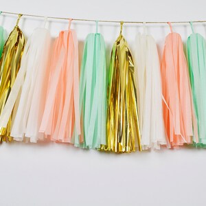 ASSEMBLED Mint Peach Tassel Garland, Wild One Girl First Birthday, Woodland Birthday, Cake Smash, Garden Flower Tea Party, Wedding Backdrop image 5