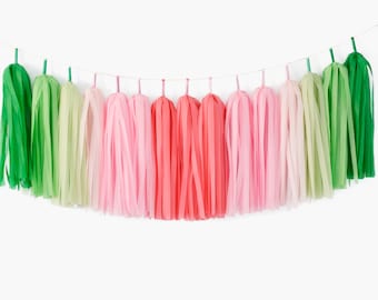 ASSEMBLED Watermelon Ombre Tassel Garland, Watermelon Party Decoration, One in a Melon First Birthday, Flamingo Party Decor, TWOtti Fruity