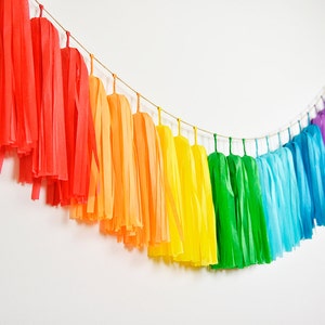 ASSEMBLED Rainbow Tassel Garland, Rainbow Birthday Party, Rainbow Nursery, Gay Wedding, Rainbow Baby Shower, Rainbow Cake Smash, Pride Party image 1