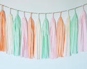 Pastel Tassel Garland Condensed Version, Peach Blush Mint Pastel, Summer Wedding, Nursery Decor, Girls Room, First Birthday, Bridal Shower