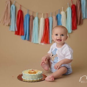 May include: A baby boy in a white shirt with a blue and brown bear design sits on a tan background. He is smiling and looking at the camera. There is a blue and white checkered cake in front of him. A string of colorful tissue paper tassels hangs above him.