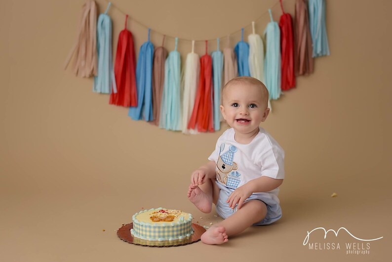 May include: A baby boy in a white shirt with a blue and brown bear design sits on a tan background. He is smiling and looking at the camera. There is a blue and white checkered cake in front of him. A string of colorful tissue paper tassels hangs above him.