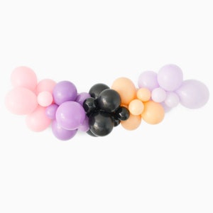 Blush Halloween Balloon Garland Kit, Pink Halloween Balloon Decoration, Balloon Garland DIY, Balloon Arch Kit for Halloween