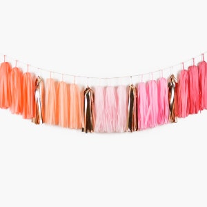 ASSEMBLED Coral Ombre Tassel Garland, Boho Rainbow Blush Pink Coral Birthday Decorations, Ballerina Party, Princess Party, Coral Party Decor