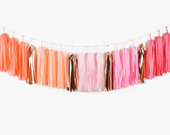 ASSEMBLED Coral Ombre Tassel Garland, Boho Rainbow Blush Pink Coral Birthday Decorations, Ballerina Party, Princess Party, Coral Party Decor