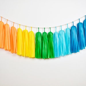 ASSEMBLED Rainbow Tassel Garland, Rainbow Birthday Party, Rainbow Nursery, Gay Wedding, Rainbow Baby Shower, Rainbow Cake Smash, Pride Party image 4