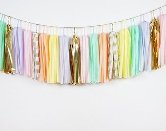 Pastel Pop Tassel Garland ASSEMBLED, Boho Groovy Party Decor, Ice Cream Party, Macaron Party, Pastel Rainbow, Tea Party Decor, Groovy Decor