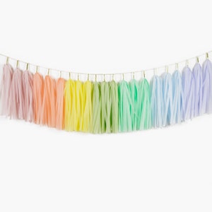 Pastel Rainbow Tassel Garland, Pastel Groovy Party Decor, Two Groovy Birthday, Groovy Baby Shower, You Are My Sun Shine, 1st Birthday