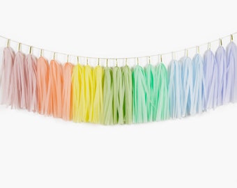 Pastel Rainbow Tassel Garland, Groovy Party Decor, Two Groovy Birthday, Baby Shower, You Are My Sun Shine, 1st Birthday, St Patrick's Day
