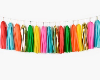 ASSEMBLED Taco Bout a Party Tassel Garland-Fiesta Banner-Taco Tuesday-Taco Twosday-Fiesta Party-Taco Bout Cute-Bachelorette-llama Party